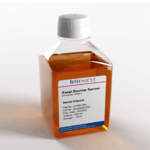 BUNSEN本生 胎牛血清 特级胎牛血清 血清