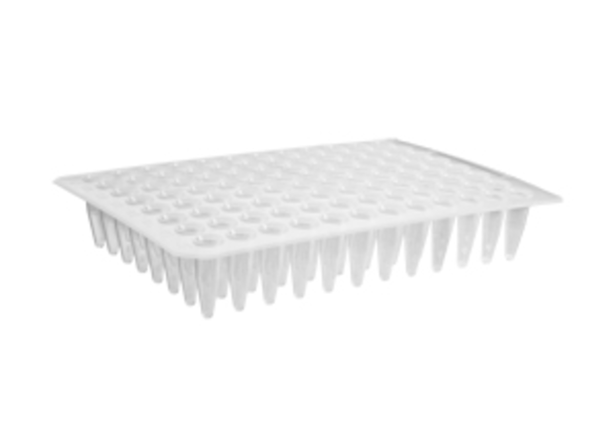 Axygen® 96孔平顶聚丙烯PCR微孔板，无裙边，透明，非灭菌