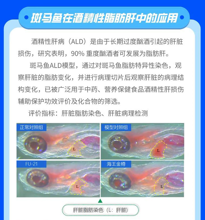 新闻图片4