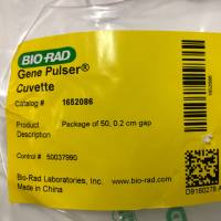 Bio-Rad货号1652086现货2mm电击杯19121878899上海睿安生物