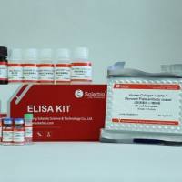 人胶原蛋白α1 ELISA KIT