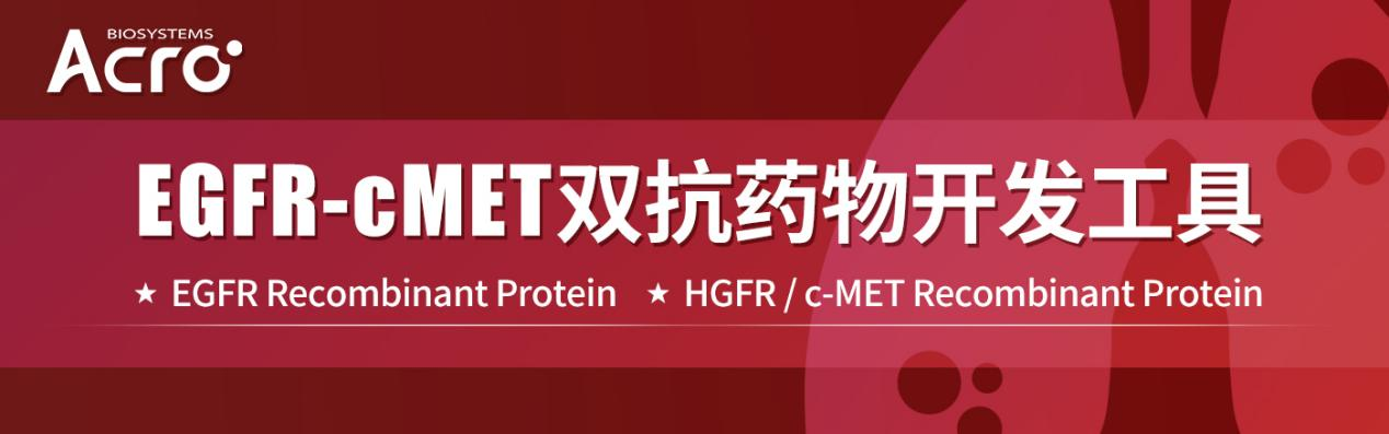 【双抗布局】——EGFR / c-MET：大厂必争的肺癌高地