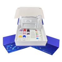 小鼠层粘连蛋白(LH)ELISA定量分析试剂盒厂家直销