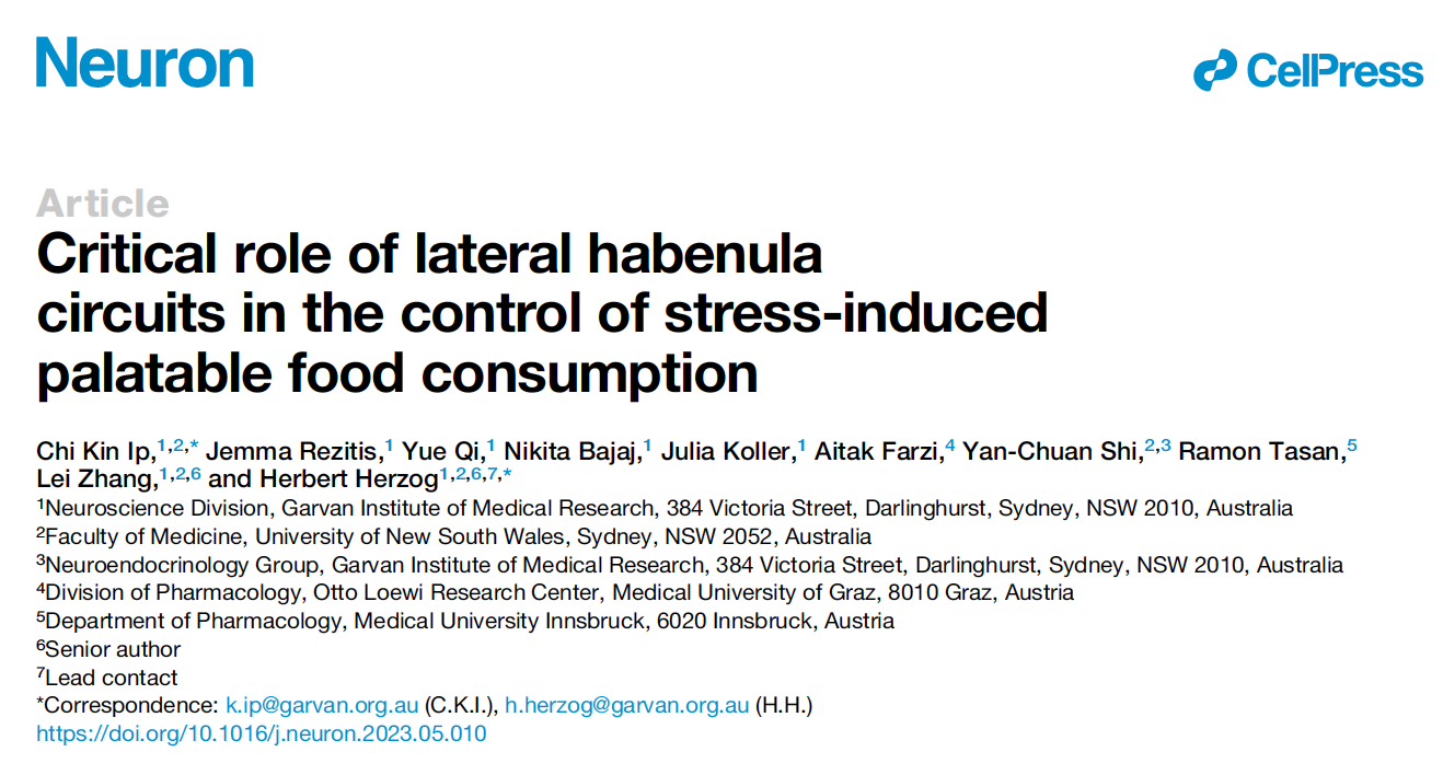 压力大就想吃大餐？这真的不怪你