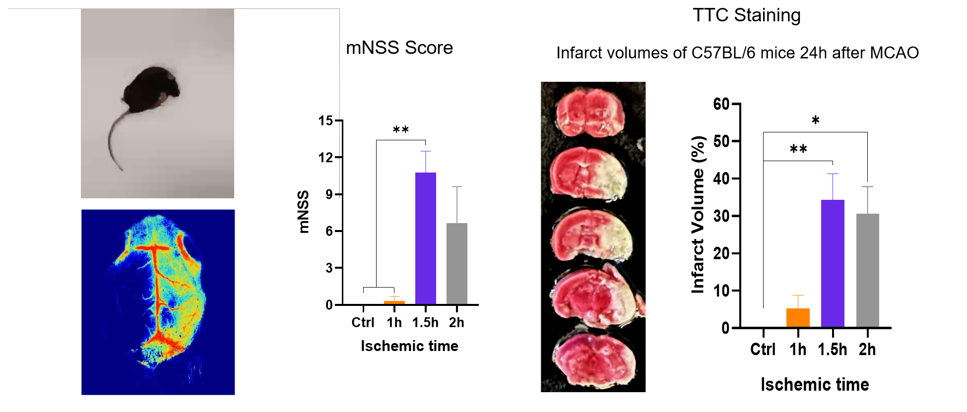 重磅推荐! 南模生物神经药效服务平台