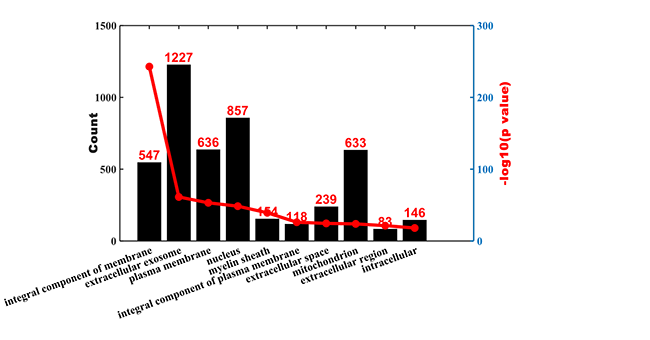 非标定量（Label-free）