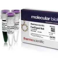 Phusion高保真 DNA聚合酶