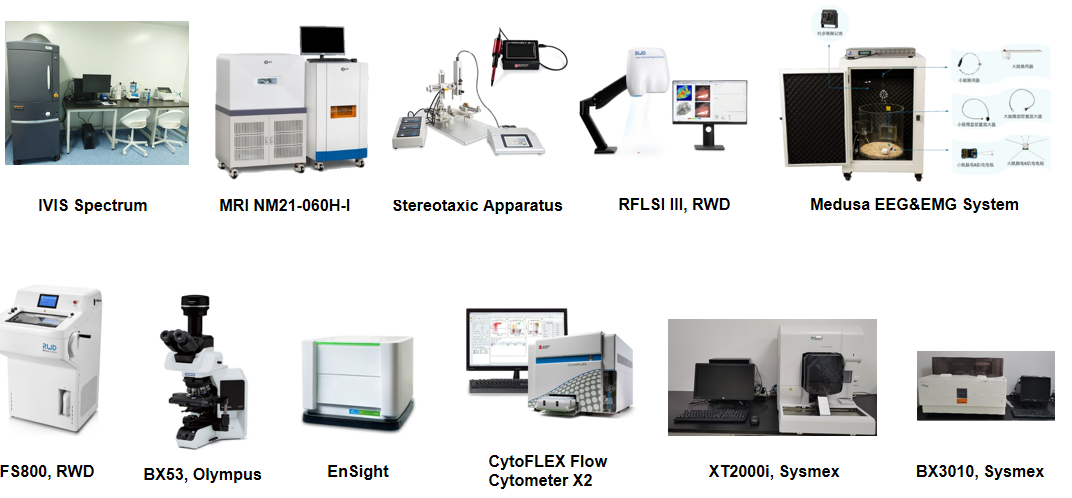 重磅推荐! 南模生物神经药效服务平台