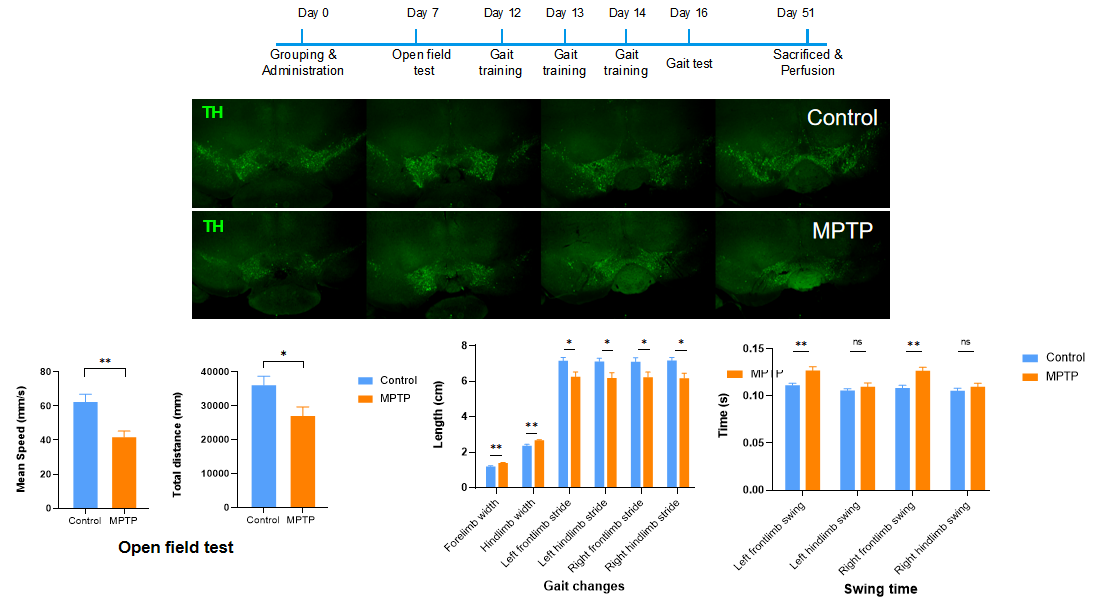 重磅推荐! 南模生物神经药效服务平台