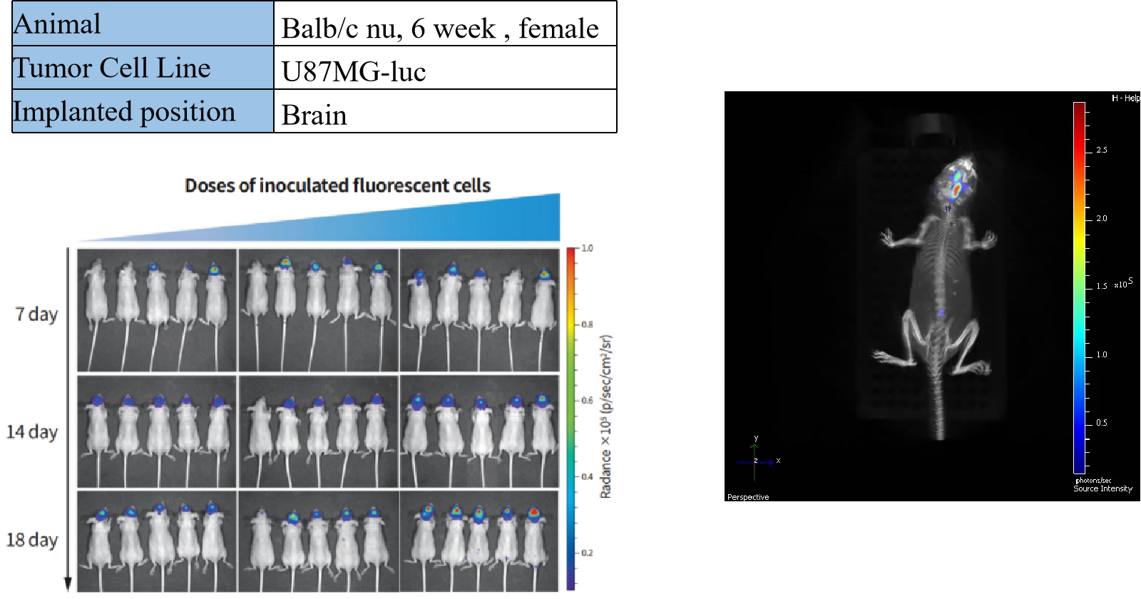 重磅推荐! 南模生物神经药效服务平台
