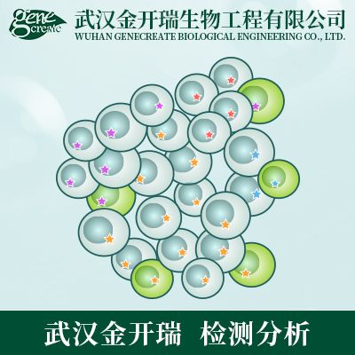 细胞增殖/细胞毒性检测 | MTT/ CCK-8/ Colony Forming检测服务| 细胞增殖实验/MTT检测| CCK-8细胞增殖毒性检测