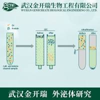 外泌体（Exosomes）提取和鉴定| 外泌体提取鉴定及相关实验| 外泌体提取分离、鉴定、纳米粒子分析（粒径分析）等综合服务