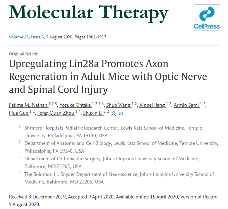 AAV助力视神经和脊髓损伤的修复，再添新策略
