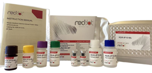 促卵泡激素(FSH)定量检测试剂盒(人/大鼠/小鼠/牛/猪/猴) 促卵泡激素(FSH)定量检测试剂盒(人/大鼠/小鼠/牛/猪/猴)