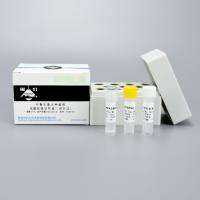 布鲁氏菌犬种菌株核酸检测试剂盒（探针法）