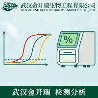 荧光定量PCR（qRT-PCR）| 实时荧光定量PCR实验代测| 荧光定量PCR实验（realtime PCR）服务