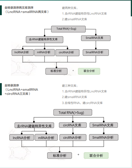 全转录组测序（两文库/三文库）