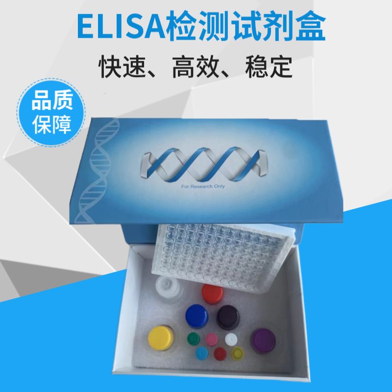 VEGF-A血管内皮细胞生长因子AELISA试剂盒