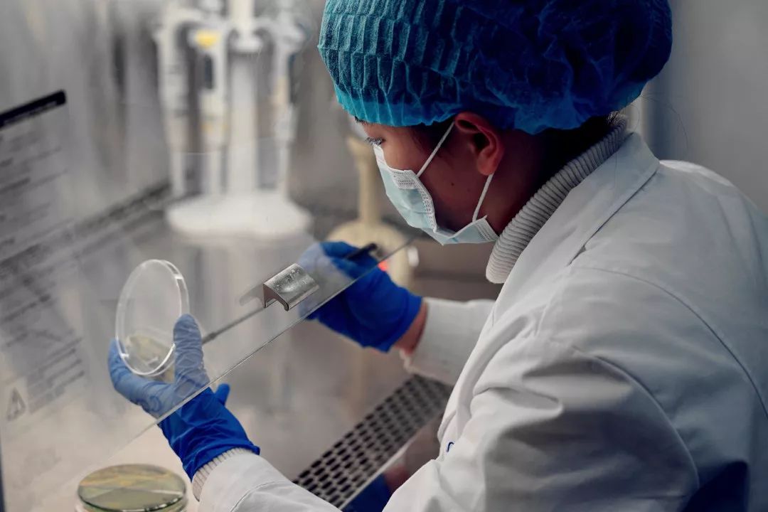 讲解微生物日常检验过程中的注意事项