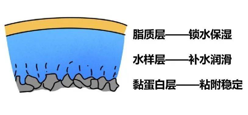 眼睛总是干、痒，甚至会有灼烧感是怎么回事？武汉普瑞眼科医院医生为您讲解