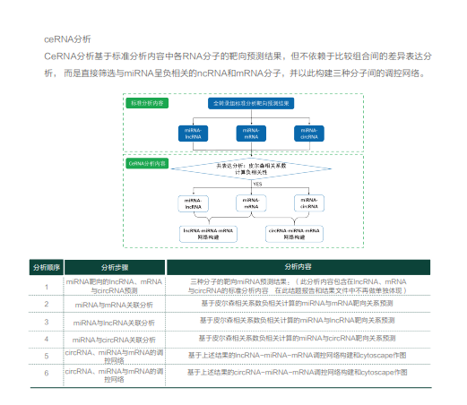 全转录组测序（两文库/三文库）