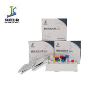 大鼠Ⅰ型前胶原羧基端原肽(PⅠCP)ELISA试剂盒现货说明书