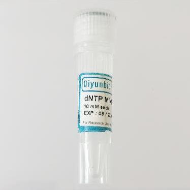 Super Pure dNTP Mix 超纯dNTP混合物（25 mM each）
