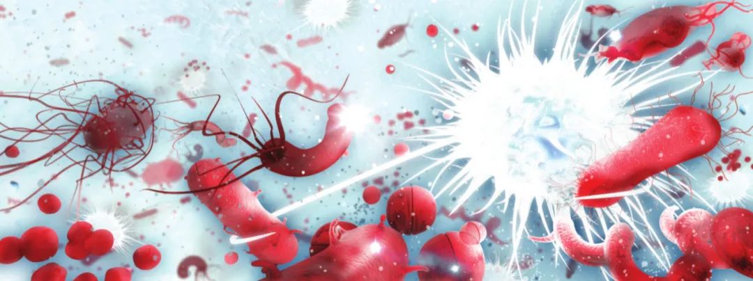 低成本、高精度全自动毛细管电泳仪助力多重病原微生物检测