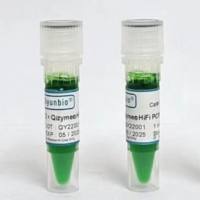 2 × Qizyme 高保真 酶PCR 预混液 (染料)