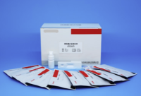 犬冠状病毒抗原检测卡