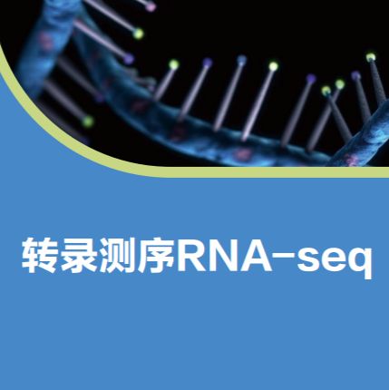 转录测序RNA-seq