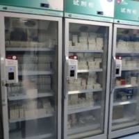 HPV假病毒HPV16-RFP