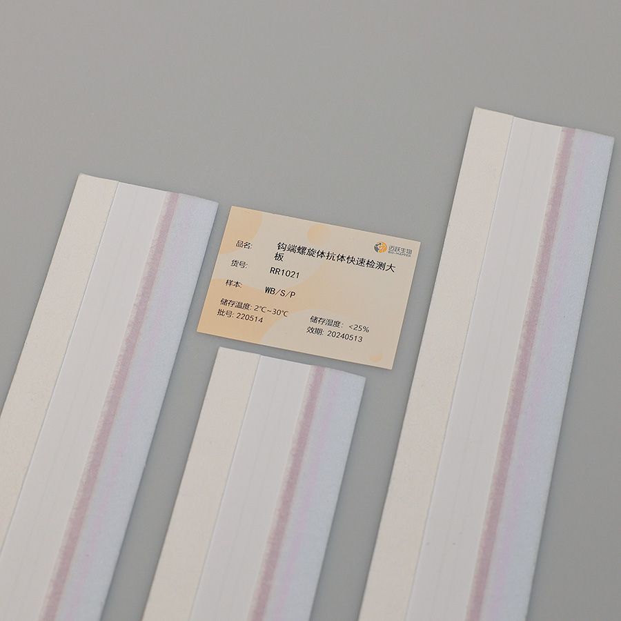 钩端螺旋体抗体快速检测大板/Leptospira Antibody/Leptospira抗体检测大板/钩端螺旋体测试大板