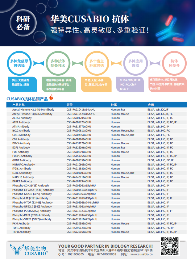 科研蛋白抗体单页