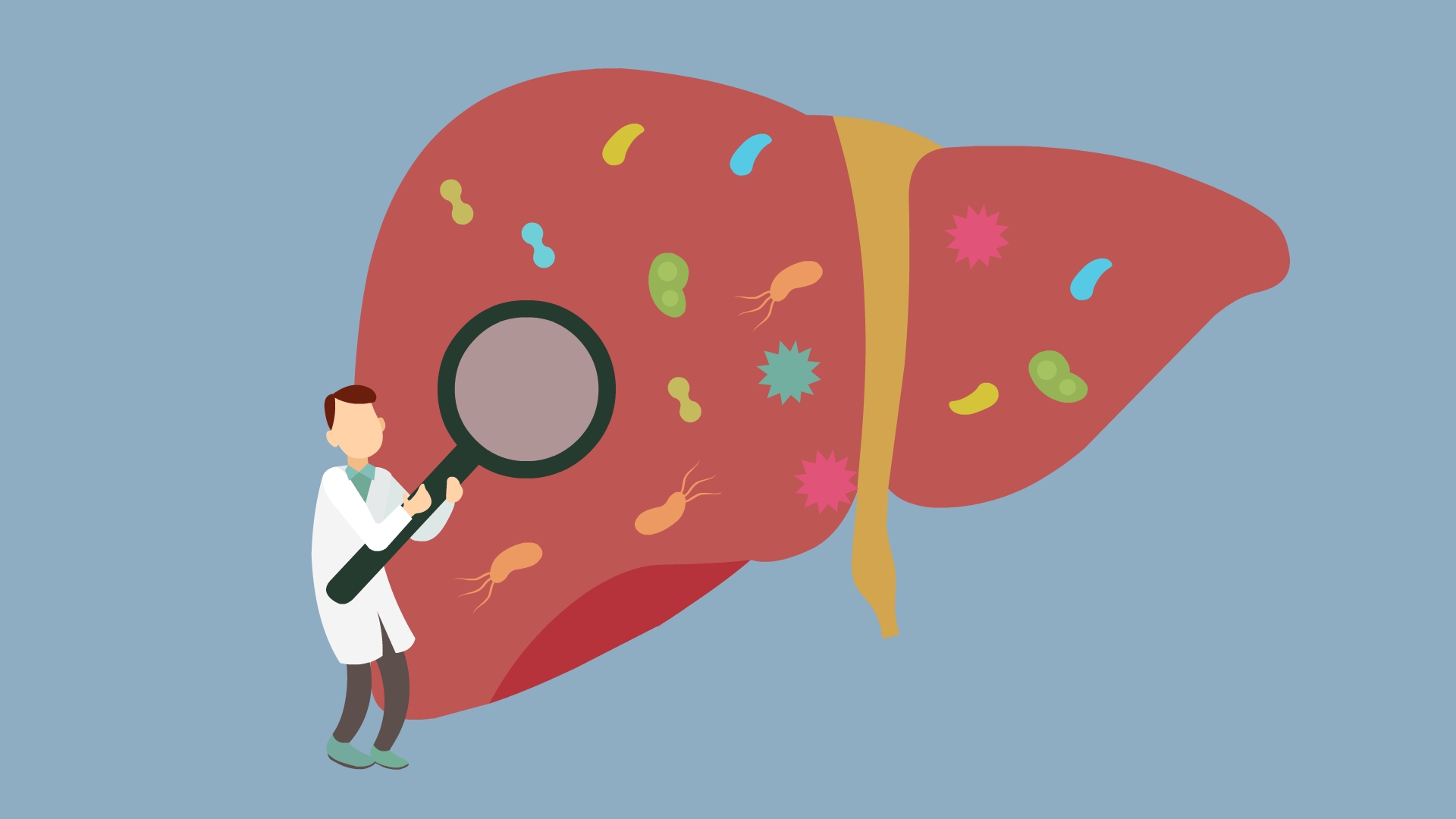 关注世界肝炎日，了解肝脏，关爱健康！