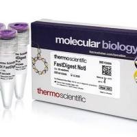 mRNA提取试剂盒，Dynabeads mRNA纯化试剂盒（用于从总 RNA制备液中纯化mRNA）