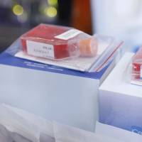 HCT116+GFP 人结肠癌细胞绿色荧光标记