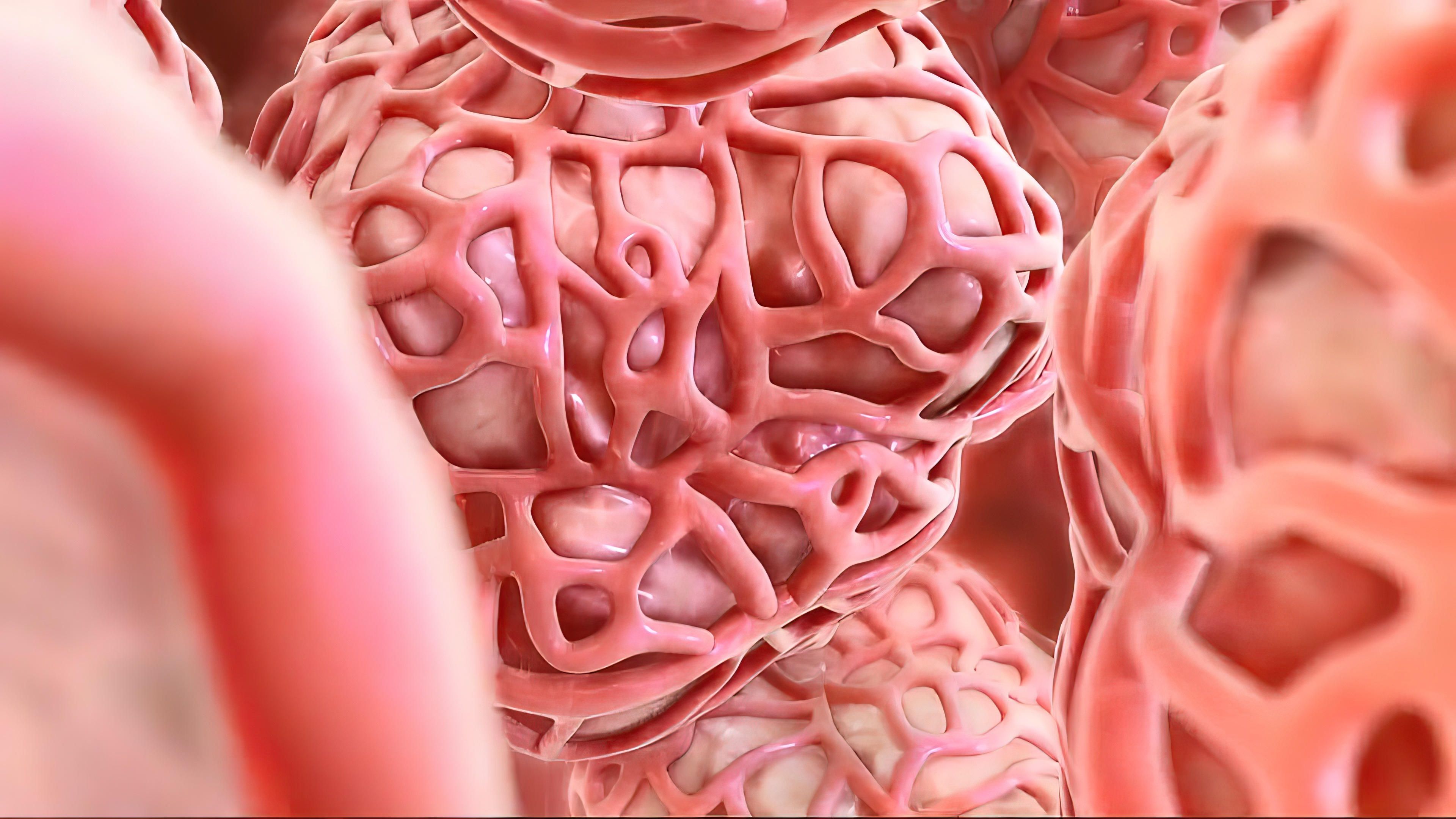 Nature重磅！揭秘KRAS（G12D）驱动鳞状肺腺癌新机制！！