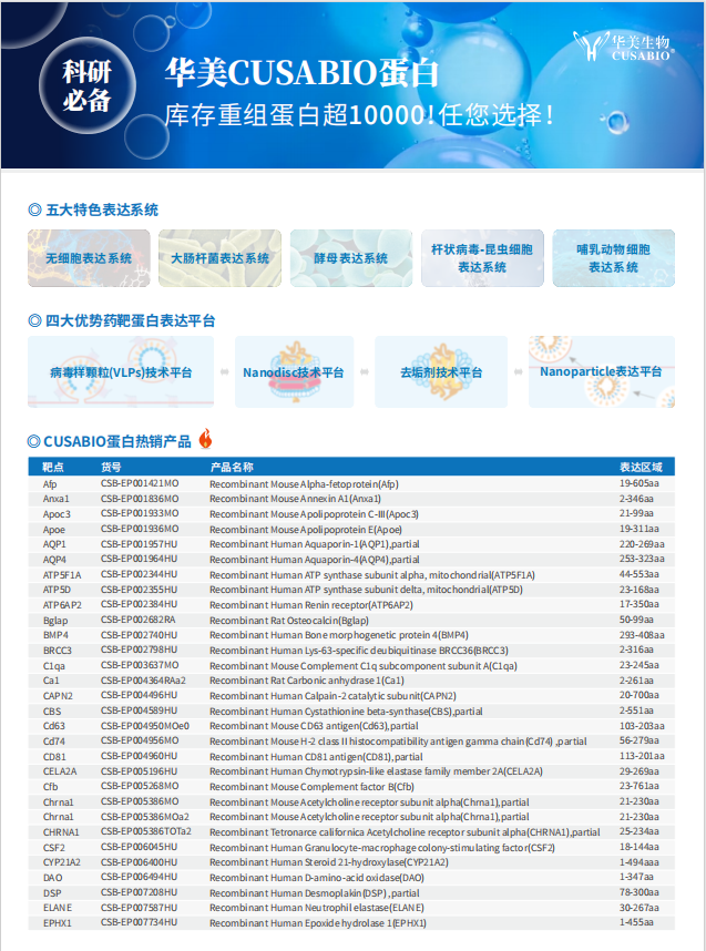 科研蛋白抗体单页