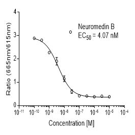 Rat BB1 (NMBR)受体稳定表达细胞株