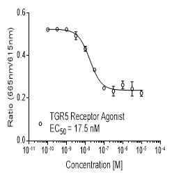 Rat GPR131, TGR5 (GPBAR1)受体稳定表达细胞株