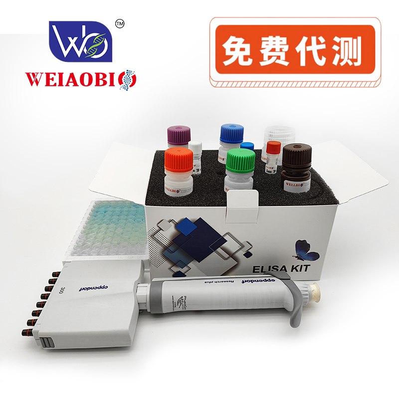 Human  αMSH(Alpha-Melanocyte Stimulating Hormone)  ELISA Kit（人α-黑素细胞刺激激素 ）