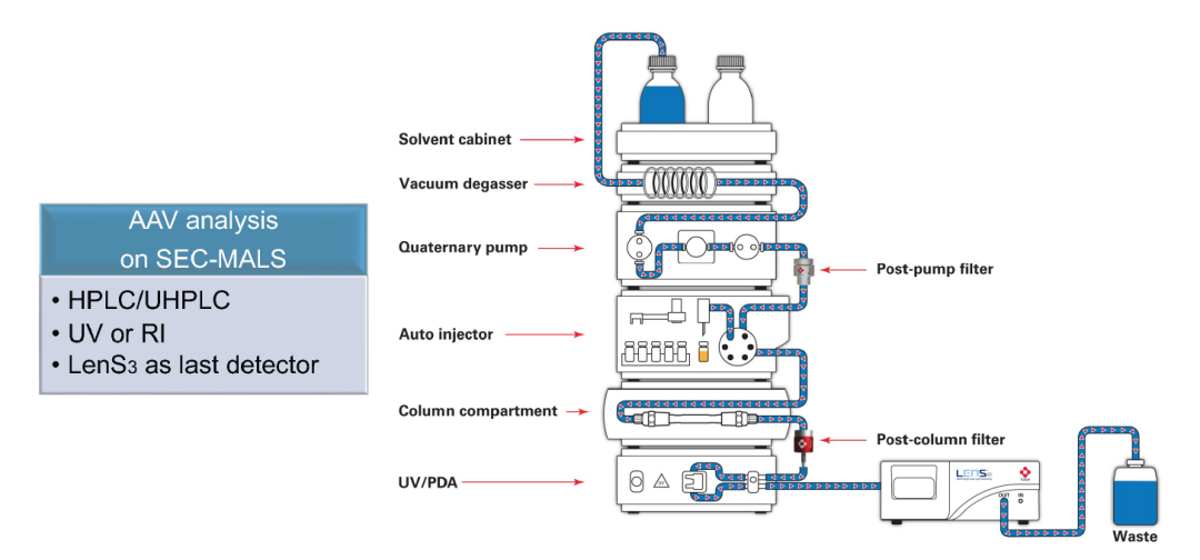 SEC-MALS：让腺相关病毒 (AAV) 表征更上一层楼