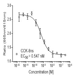 Mouse CCK2受体稳定表达细胞株