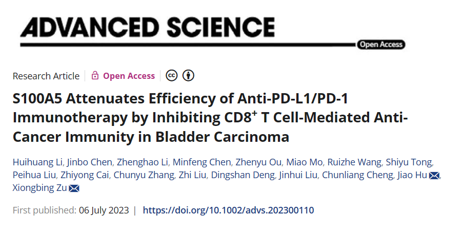 中南大学湘雅医院探索联合PD-1/PD-L1的膀胱癌免疫治疗新靶点
