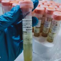 SPF恒河猴血浆/个体/雄/雌