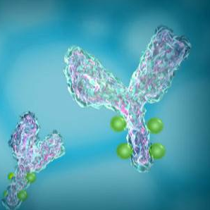 质谱服务-翻译后修饰蛋白组分析技术服务