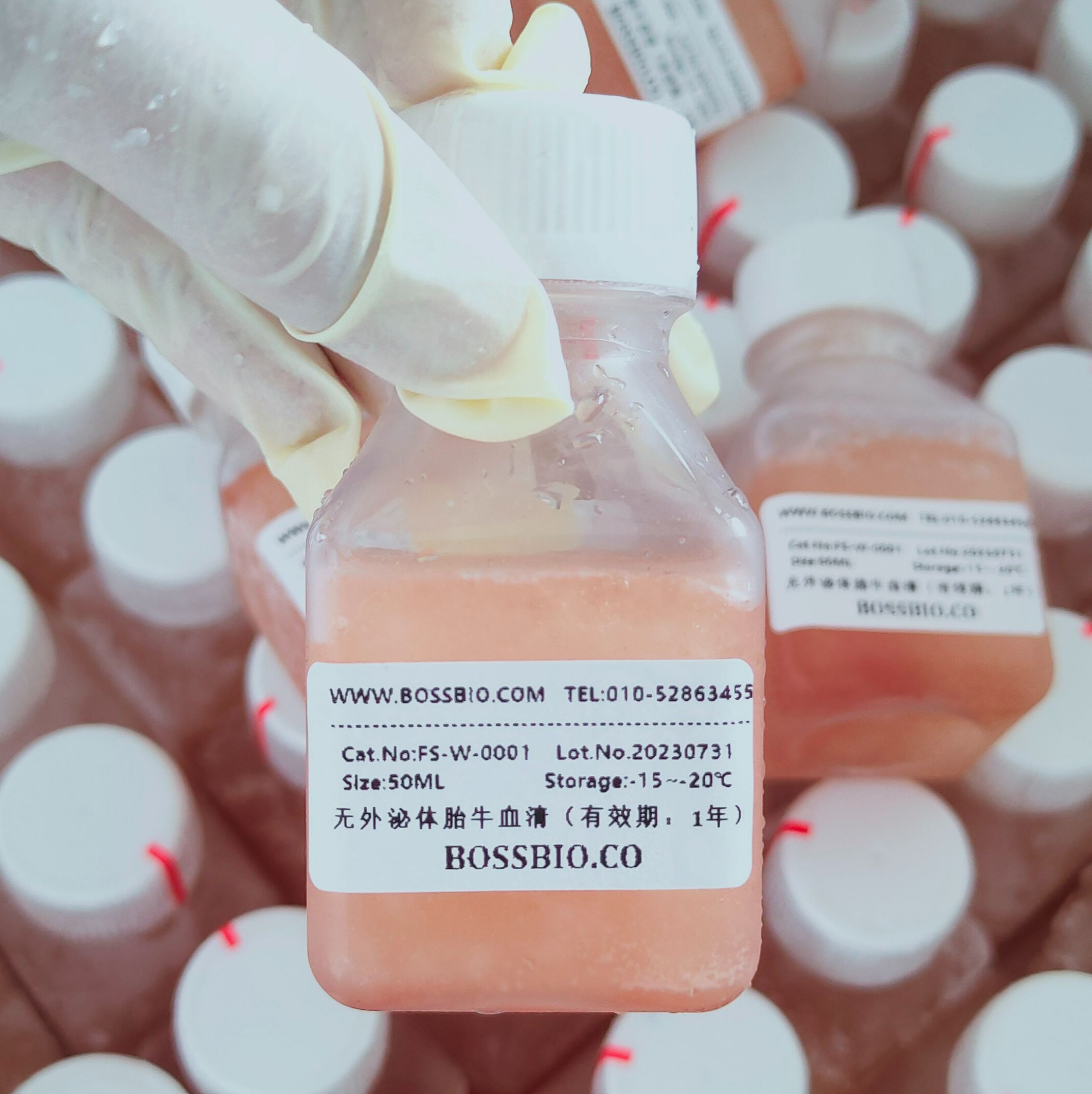 无外泌体胎牛血清