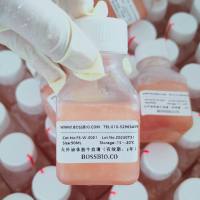 无外泌体胎牛血清