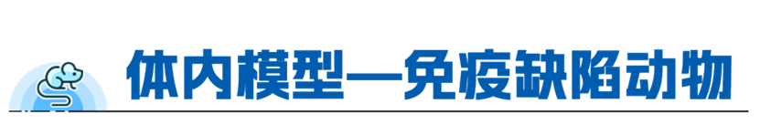 新闻图片5